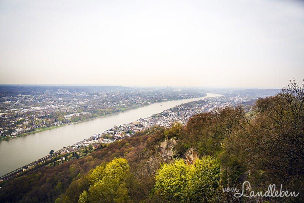 Blick vom Drachenfels nach Bonn