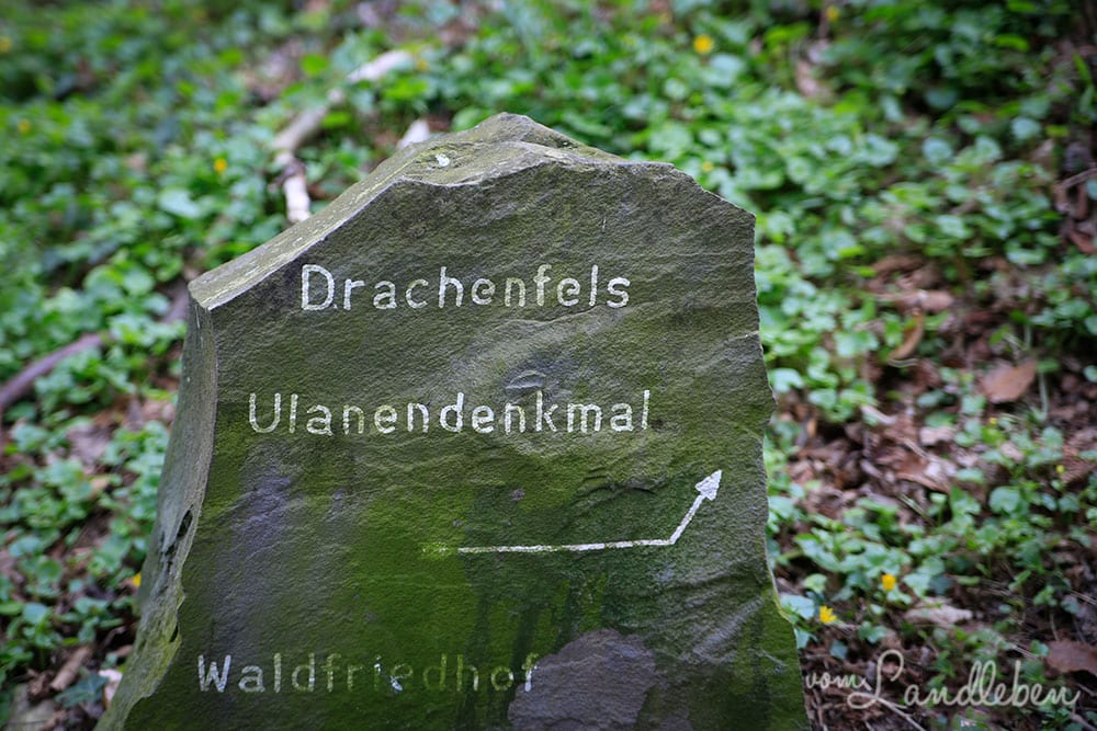 Rheinsteig-Wanderung zum Drachenfels