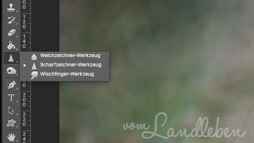 Photoshop: gezieltes Nachschräfen mit dem Scharfzeichner-Werkzeug