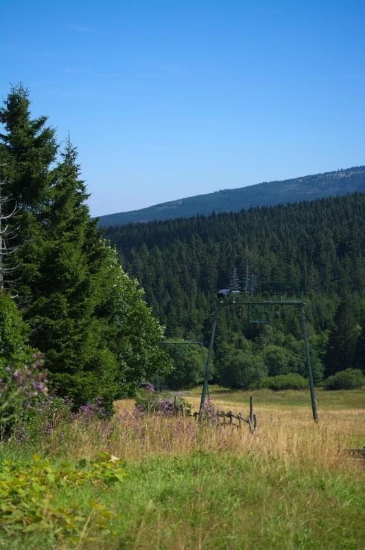 Wandern im Harz - Foto (c) Lisa Bönemann, harz-region.de