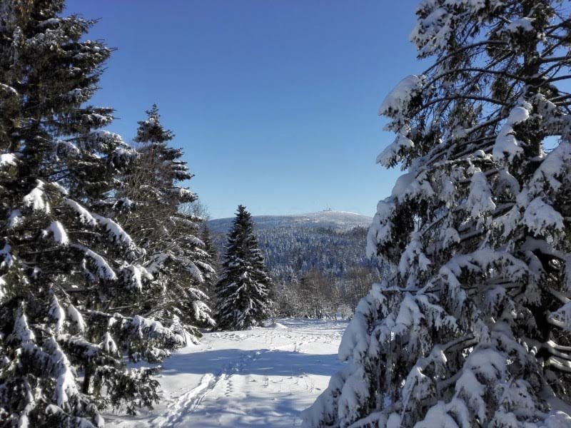 Der Harz im Winter - Foto (c) Lisa Bönemann, harz-region.de