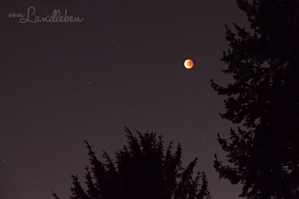#fotoprojekt17 - nachts: Blutmond (28.9.2015)