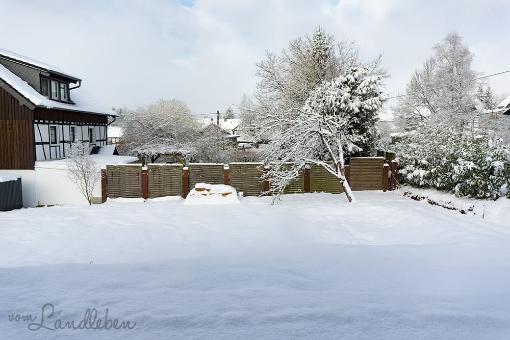 Unser Garten im Schnee