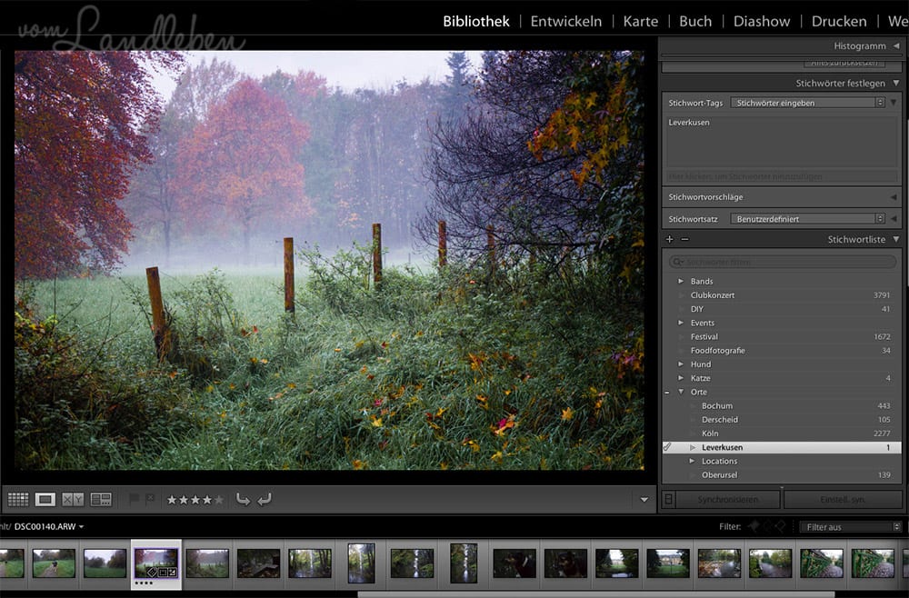 Fotoverwaltung in Lightroom