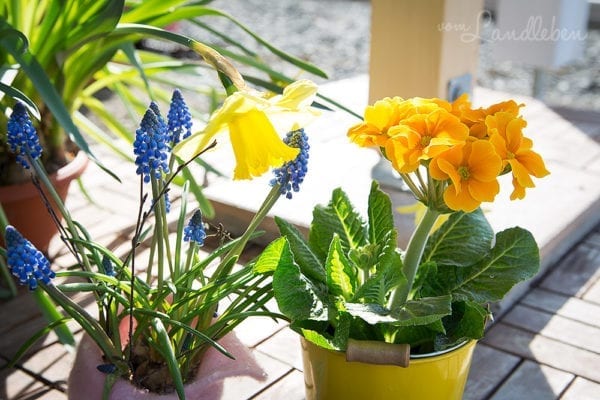 Unser Garten im Februar 2017