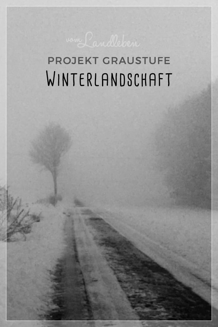 Projekt Graustufe: Winterlandschaft