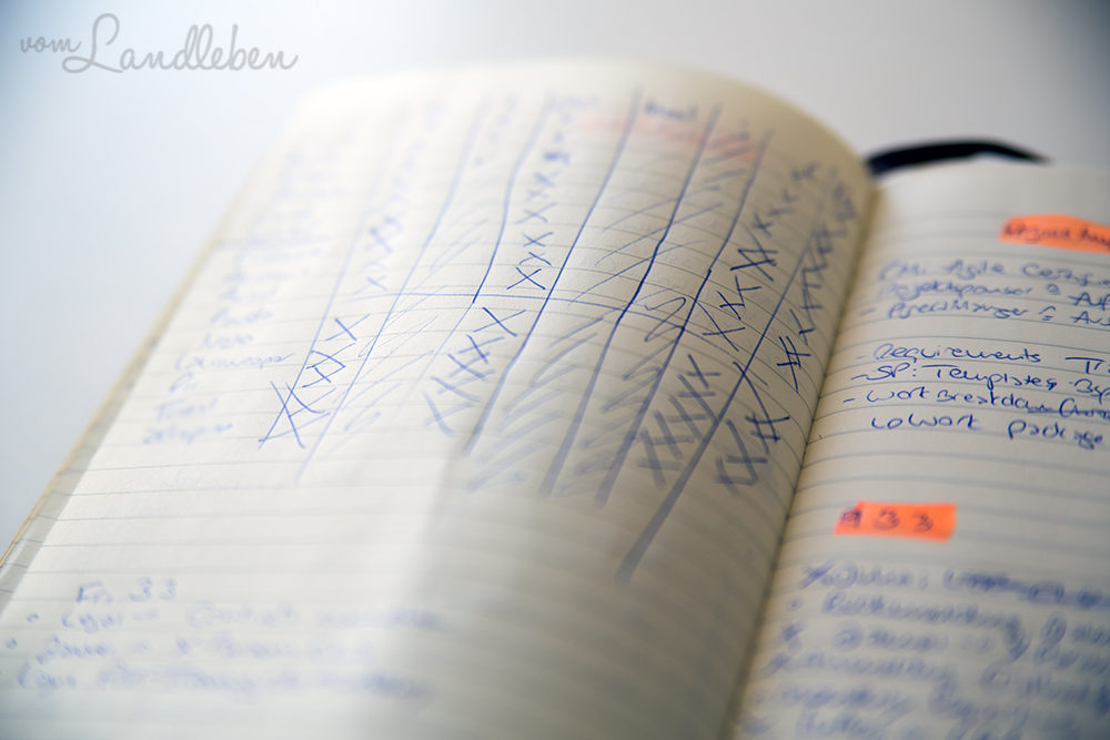 Bullet Journaling für Pragmatiker - nicht perfekt, aber hilfrei