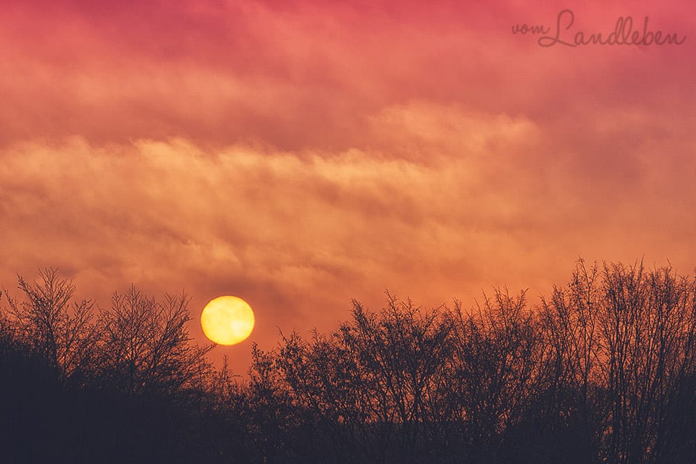 #fotoprojekt17 - Himmel + Sonne