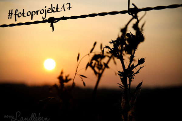 #fotoprojekt17 - Himmel + Sonne