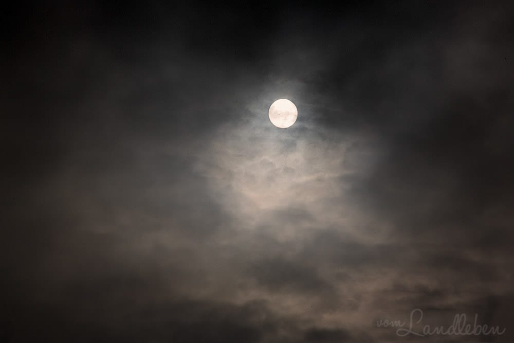 #fotoprojekt17 - Himmel + Sonne