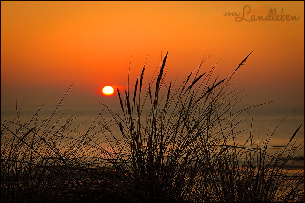 Sonnenuntergang am Strand in Zoutelande