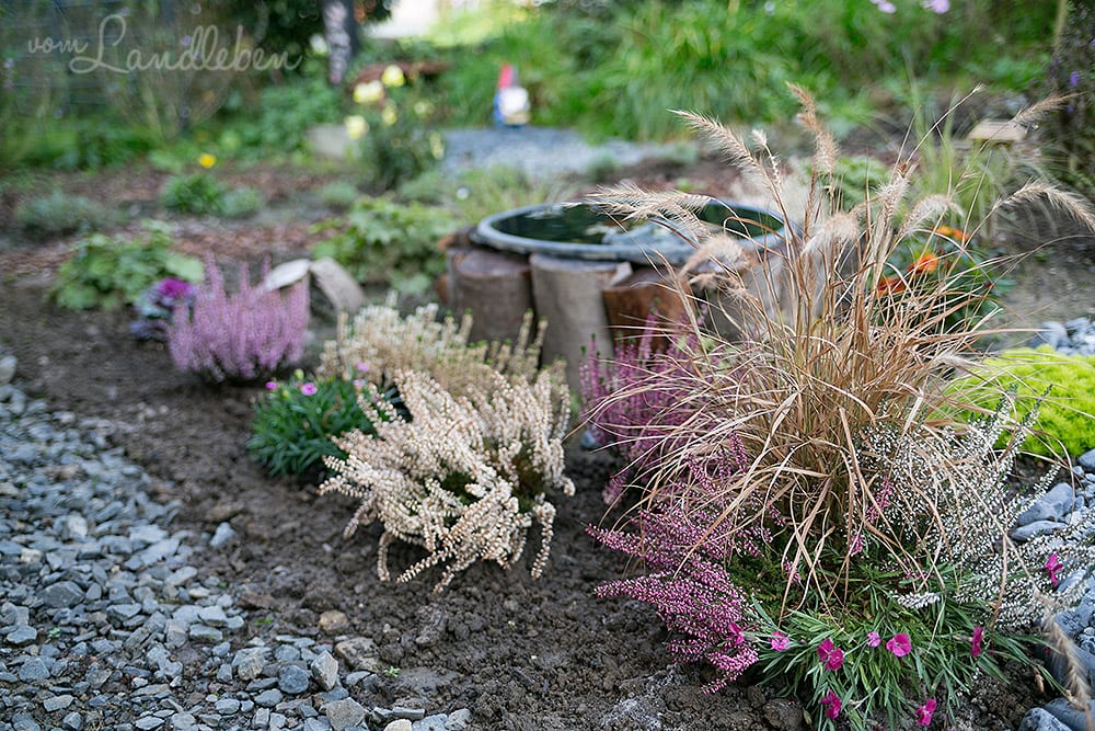Gartenguckloch im Oktober 2017 – Mittelgarten
