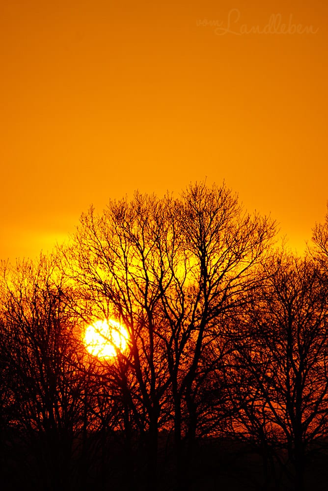 Sonnenuntergang – Februar 2018