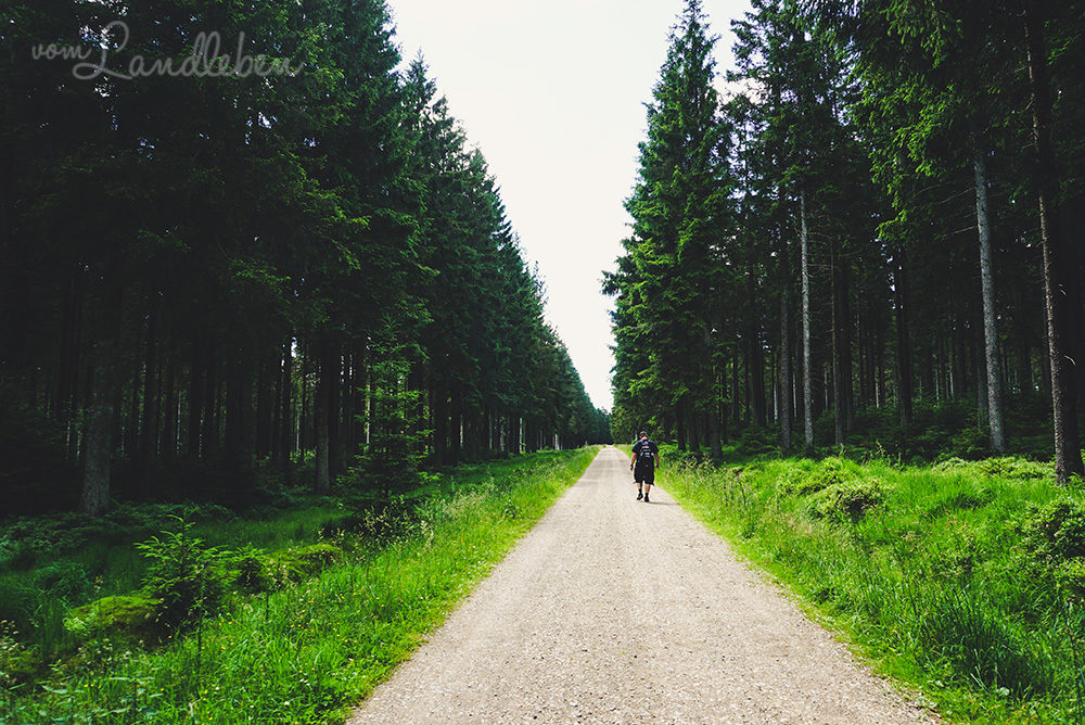 Wandern im Hohen Venn