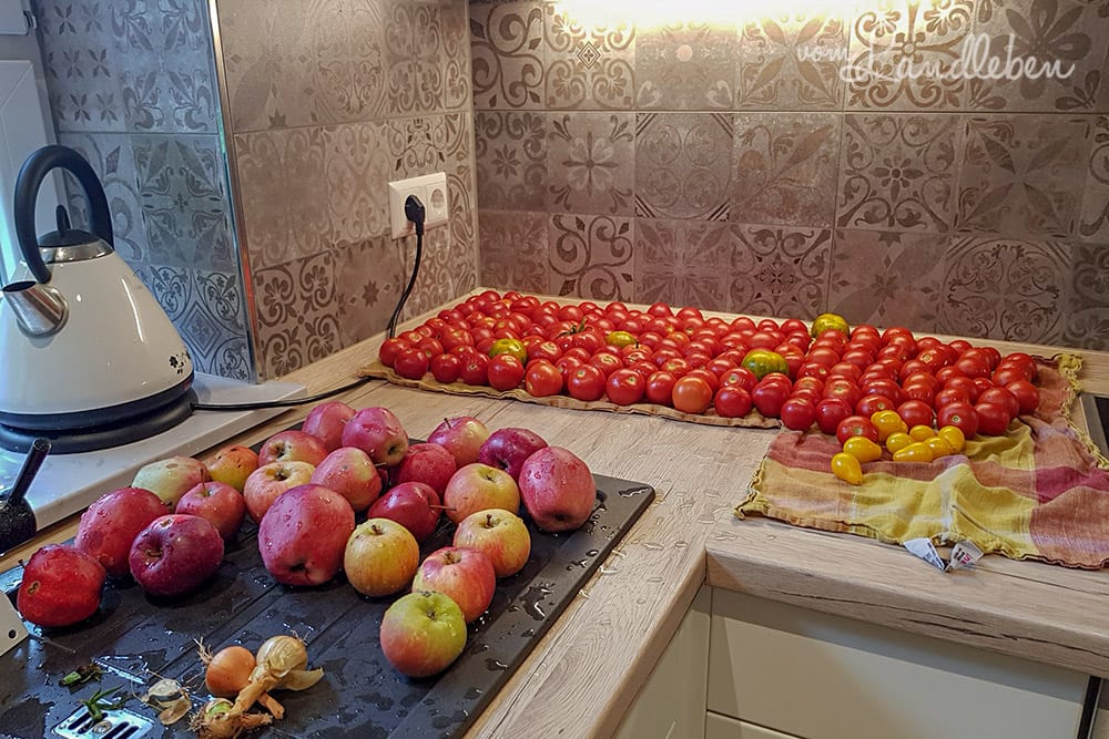 Einmach-Session: Äpfel und Tomaten