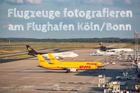 Flugzeuge fotografieren: spotten am Flughafen Köln/Bonn
