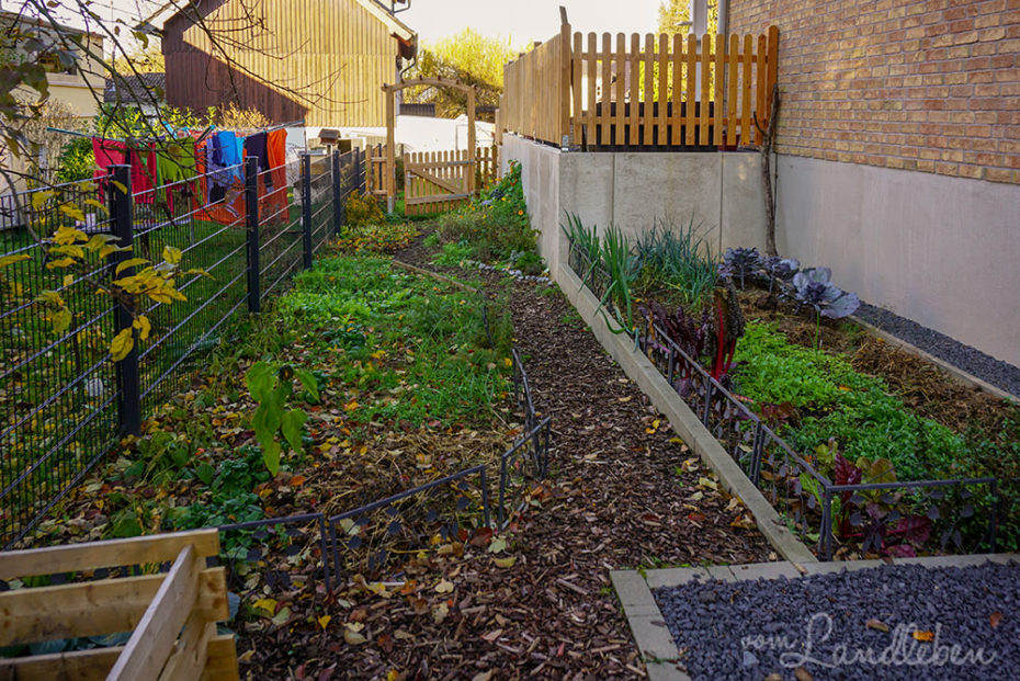 Gemüsegarten im November 2018