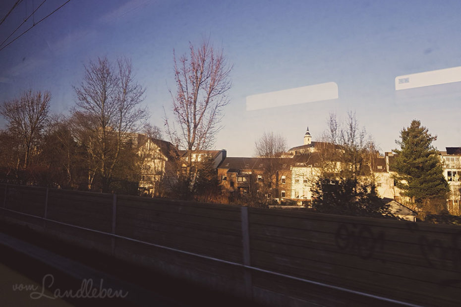 #pmdd29 - Picture my Day
