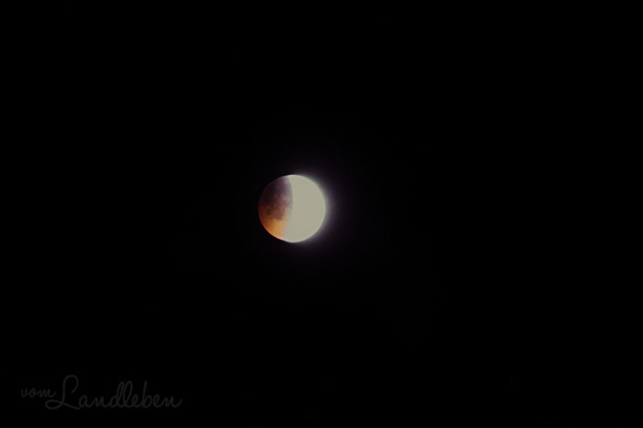 Blutmond - Mondfinsternis im Januar 2019