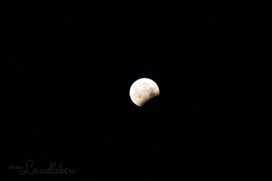 Blutmond - Mondfinsternis im Januar 2019