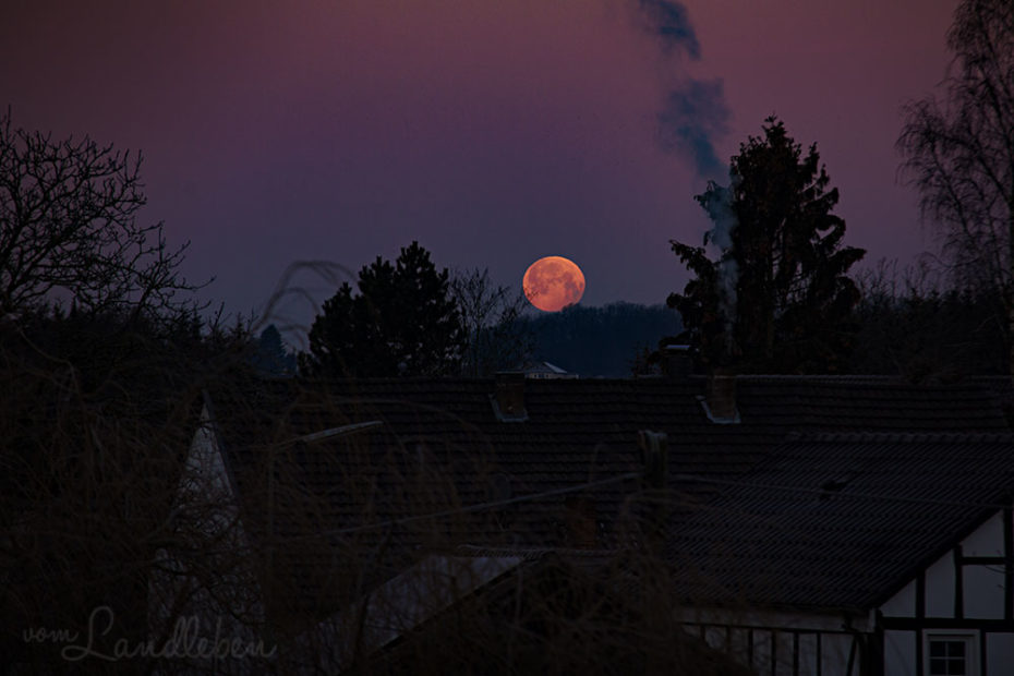 Blutmond - Mondfinsternis im Januar 2019