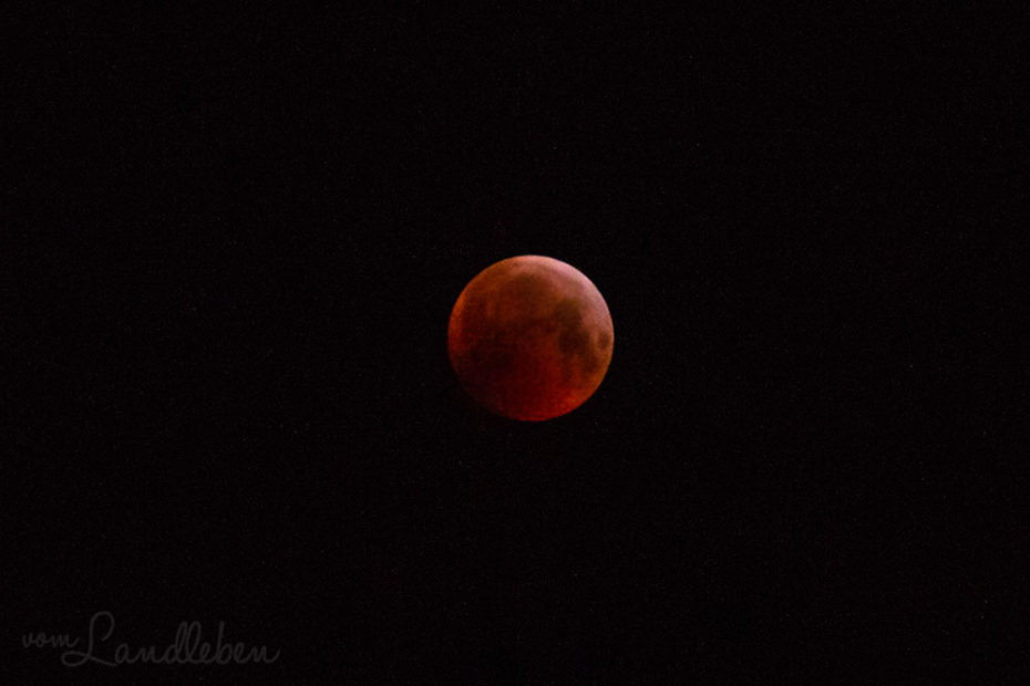 Blutmond - Mondfinsternis im Januar 2019