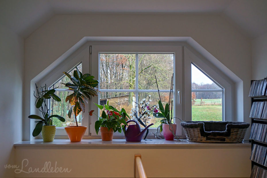 Fenster in der Gaube in unserem Danhaus