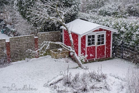 Schnee im Garten - Januar 2019