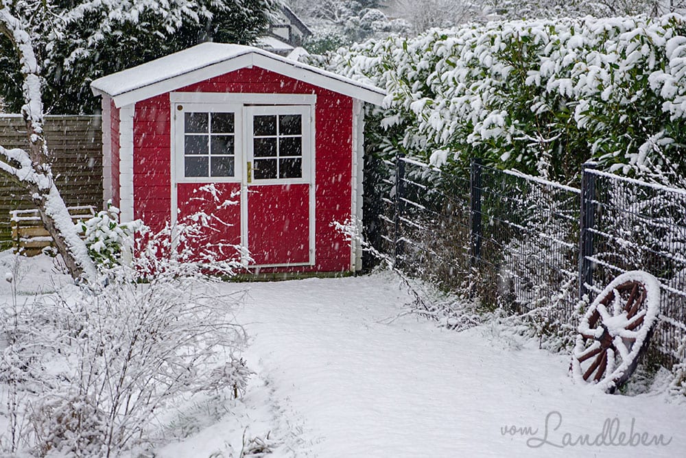 Schnee im Garten - Januar 2019