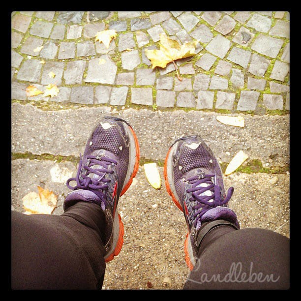 Halbmarathon Köln 2013