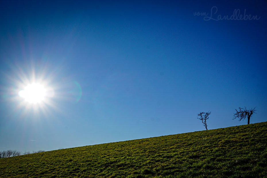Spaziergang an der Wahnbachtalsperre