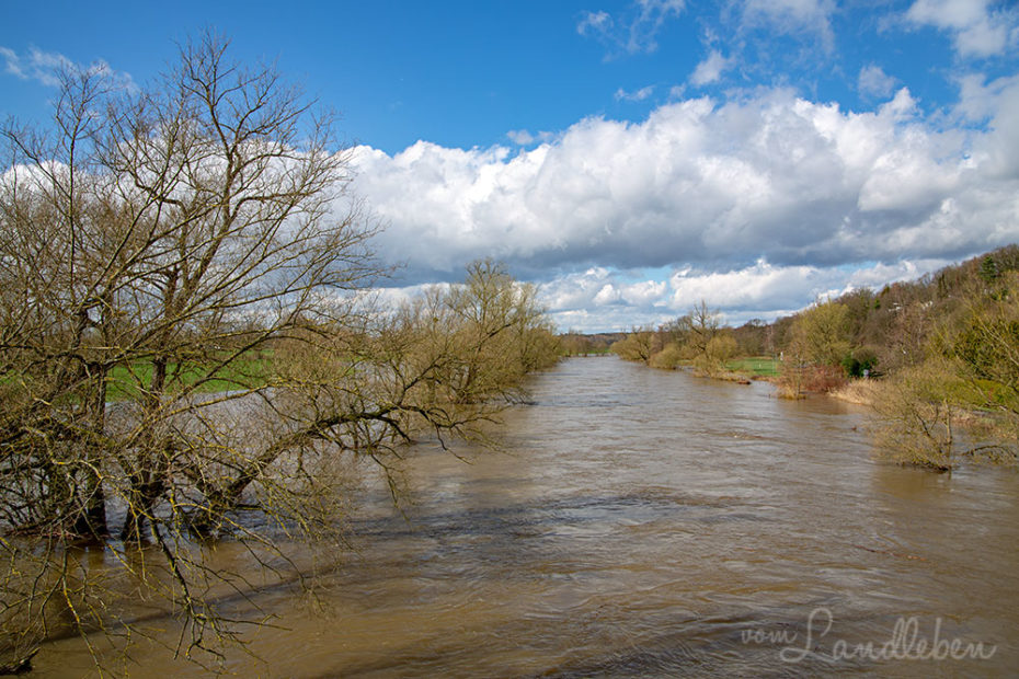 Hochwasser an der Sieg