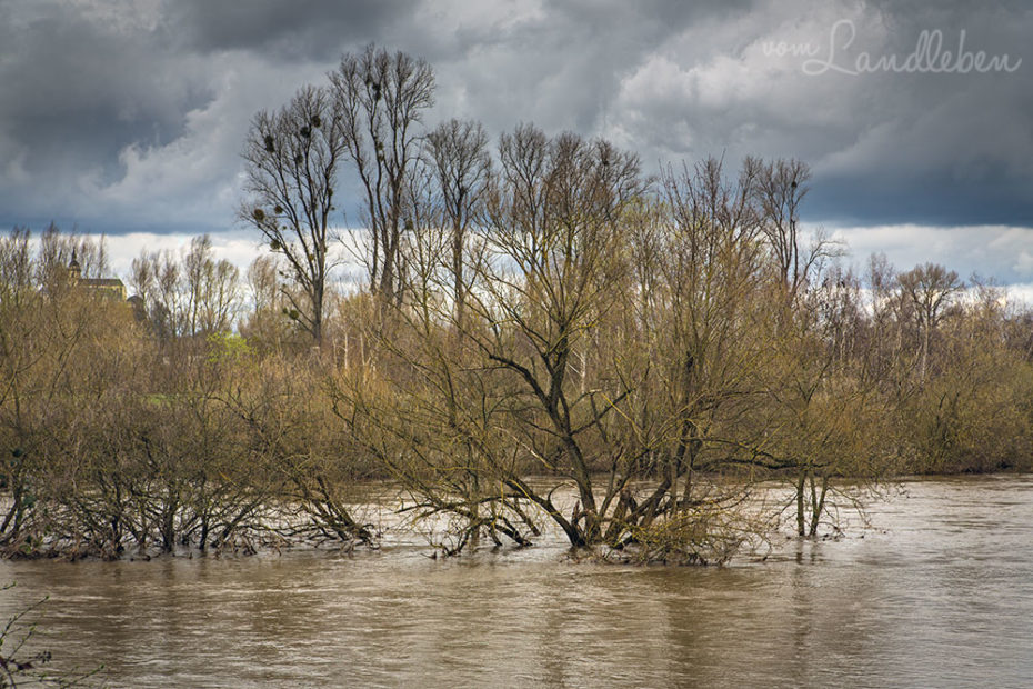 Hochwasser an der Sieg