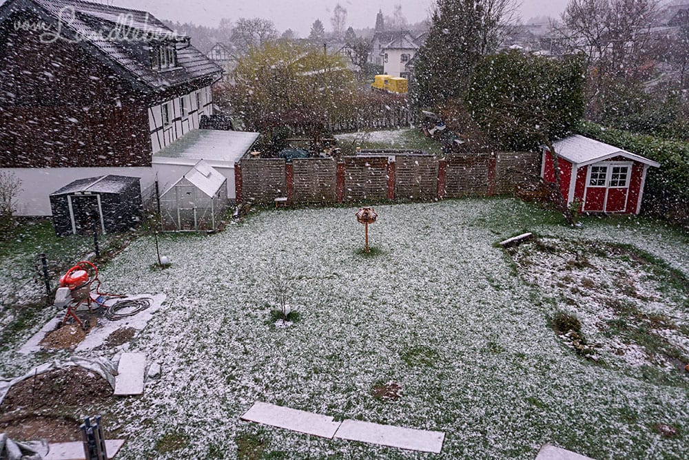 Schnee im März 2019