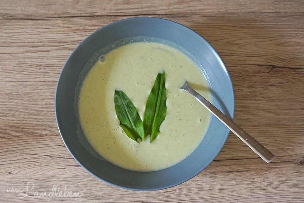 Rezept: Bärlauch-Suppe