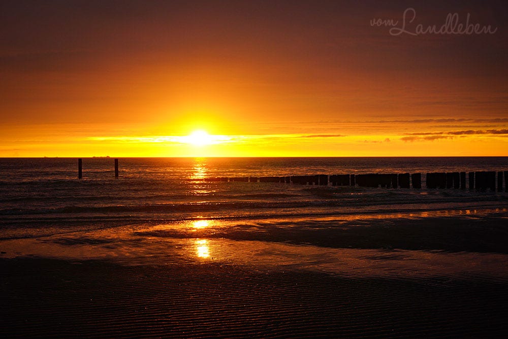 Strandfotos aus Zoutelande - Sonnenuntergang