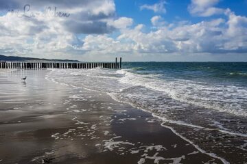 Am Strand in Zoutelande - Juni 2019