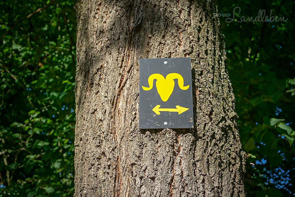 Wandern in der Wahner Heide - Symbol der Fliegenberg-Tour