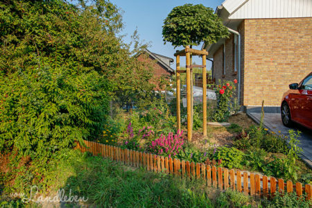 Unsere Gartenpläne 2020 | vom Landleben
