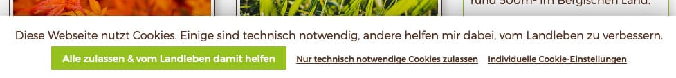 Cookies auf Blogs zulassen