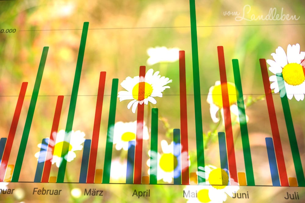 Blog-Statistiken