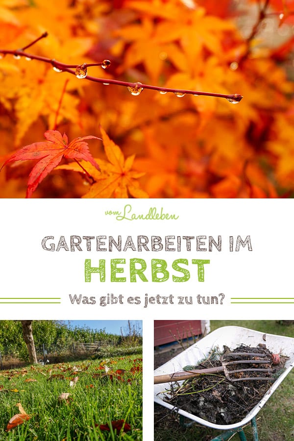 Gartenarbeiten im Herbst: was gibt es jetzt zu tun? Tipps vom Stecken der Blumenzwiebeln über die Rasenpflege bis hin zum Ausbringen vom Kompost 