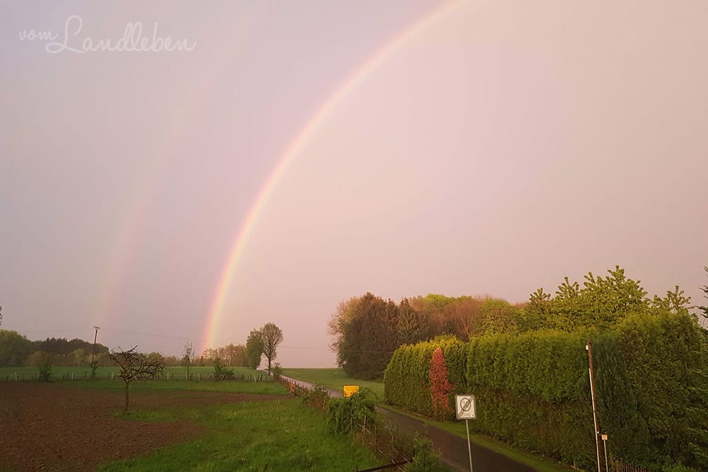 Luminar im Test - Bildbearbeitung Regenbogen Luminar im Test - Bildbearbeitung Regenbogen