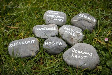 Steine beschriften als Pflanzenschild