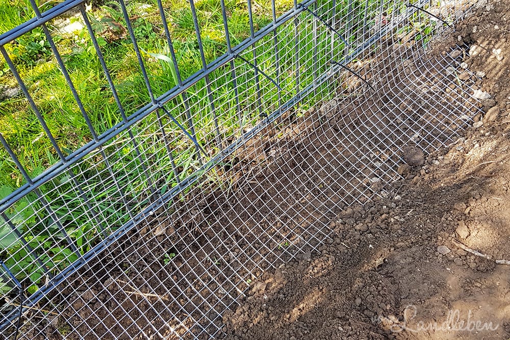 Zaun um den Hühnergarten eingraben
