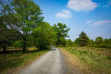 Wandern in der Wahner Heide