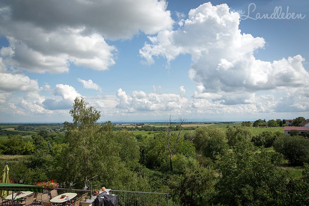 Blick von den Südpfalz-Terrassen über die Rheinebene