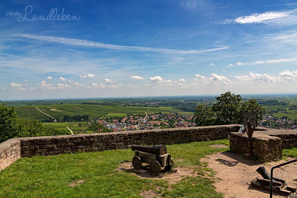 Blick von Burg Landeck