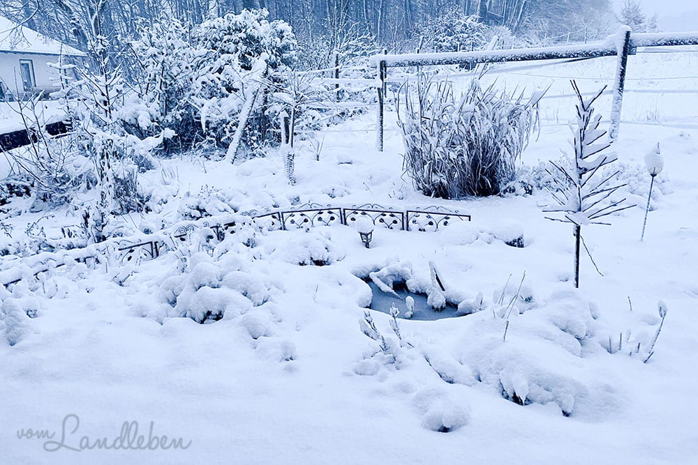 Schnee im Mittelgarten - Januar 2021