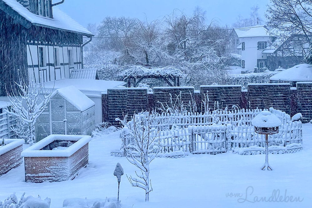 Schnee im Garten - Januar 2021
